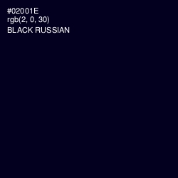 #02001E - Black Russian Color Image